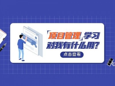 集成產品開發（IPD）
