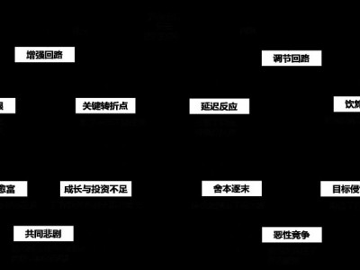 破解組織復雜問題的十大系統思考模式,思考魔方，成長引擎