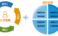 向阿里學OD：戰略落地與組織發展實戰課（升級版）